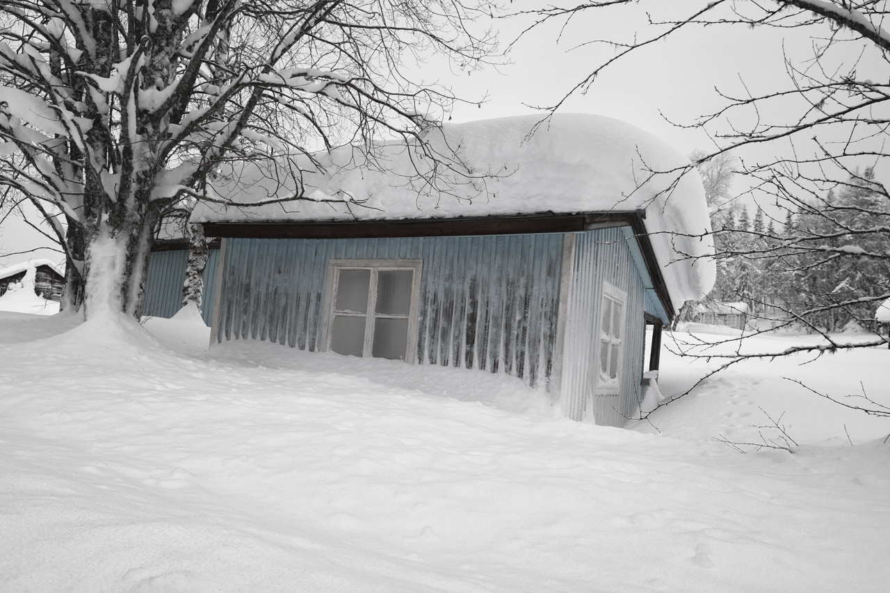 Fotoreise Wintermärchen Feb. 2025 Schweden